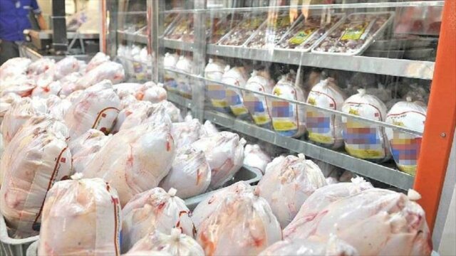 ذخیره سازی ۱۵۰۰ تن مرغ منجمد در لرستان